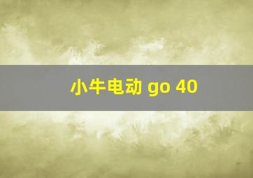 小牛电动 go 40